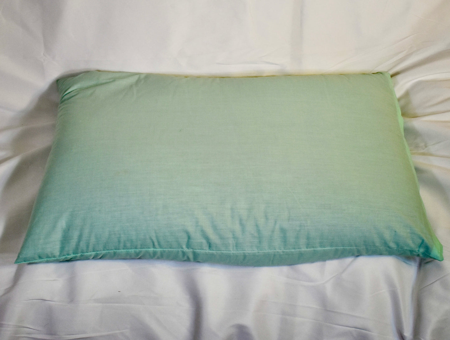 Eun Hui's handmade buckwheat King Pillow, 18x30